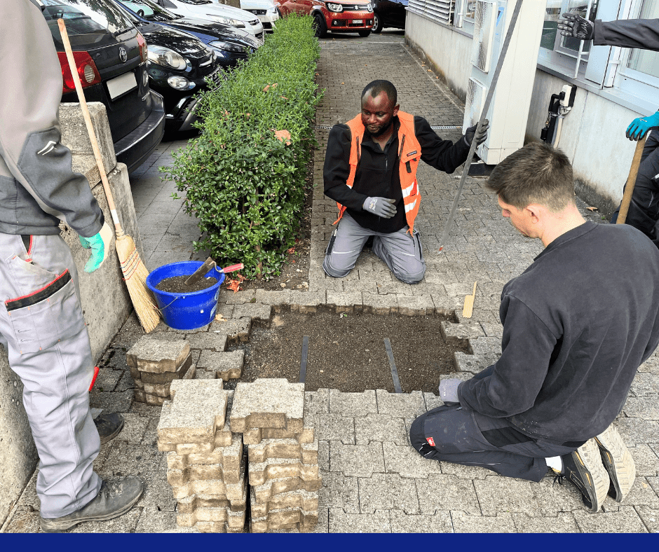 Zertifikat oder Fähigkeiten